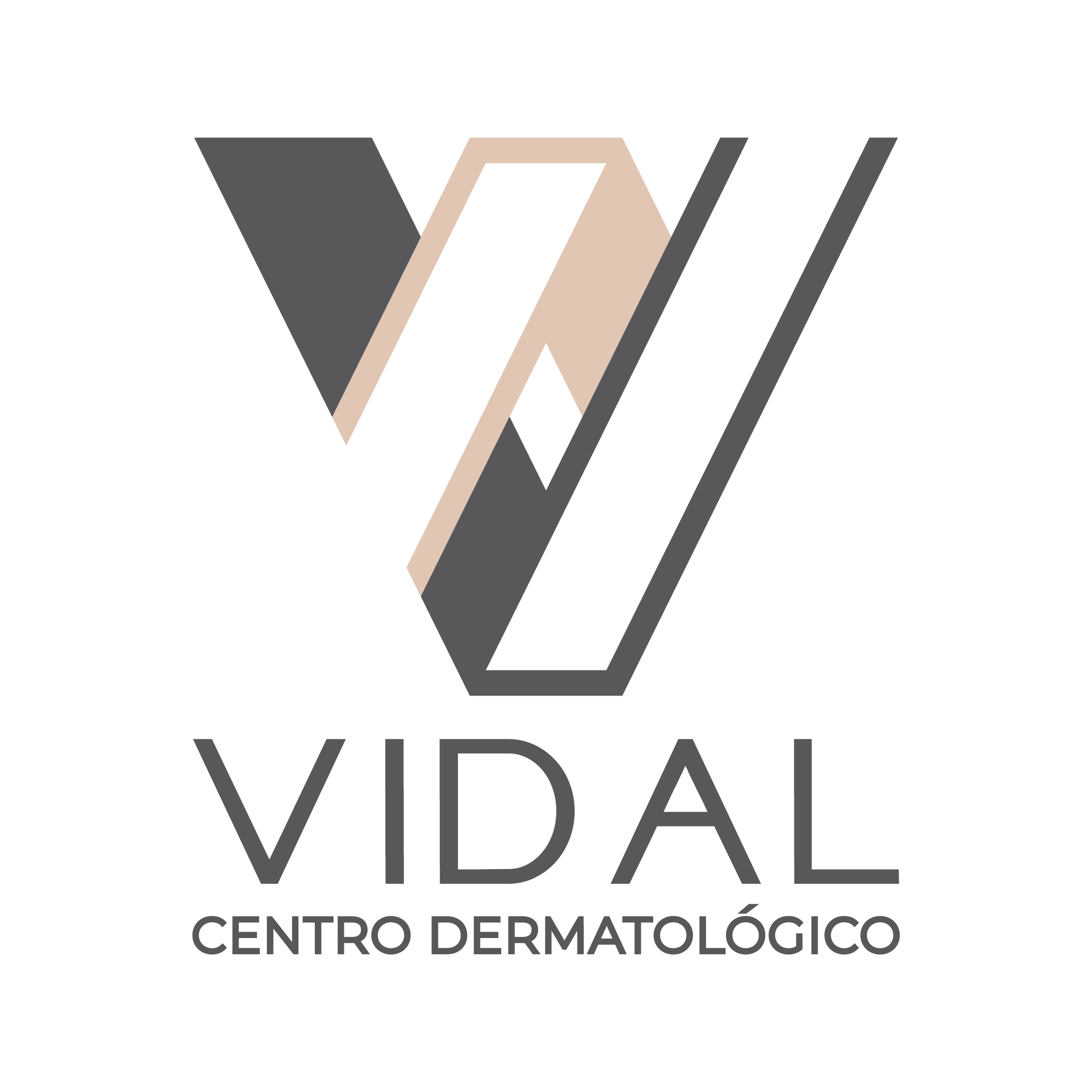 VIDAL_LOGOTIPO-01